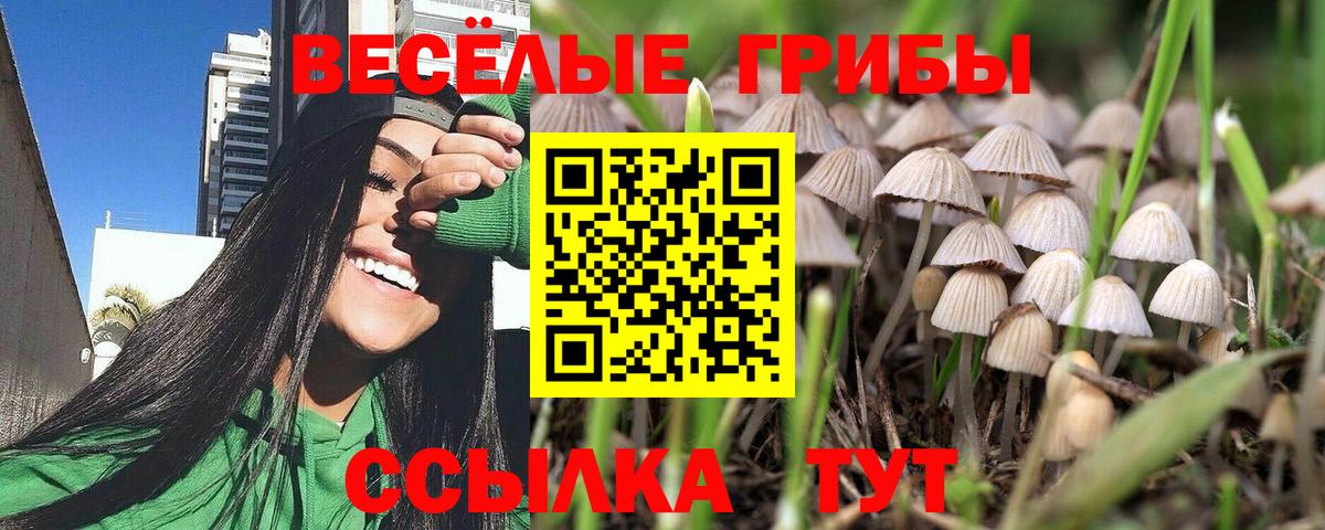 Галлюциногенные грибы мухоморы  Вход с VPN  Чистополь 
