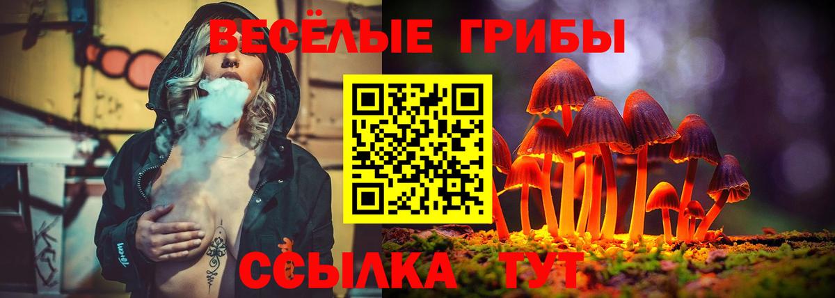 Галлюциногенные грибы Cubensis Чистополь